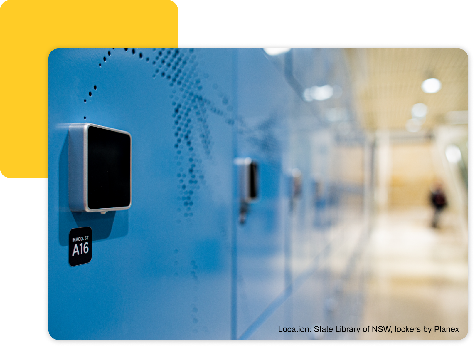 Yellowbox lockers at the State Library of NSW